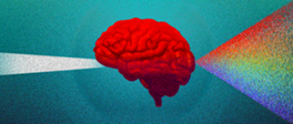 A criatividade é uma habilidade para todos? Confira o que diz a neurociência