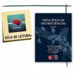 Entrevista para a revista Veja – Quanto mais neurociência melhor.